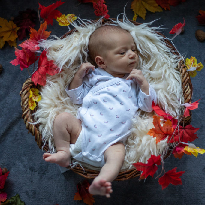 photo naissance portrait dans panier automne