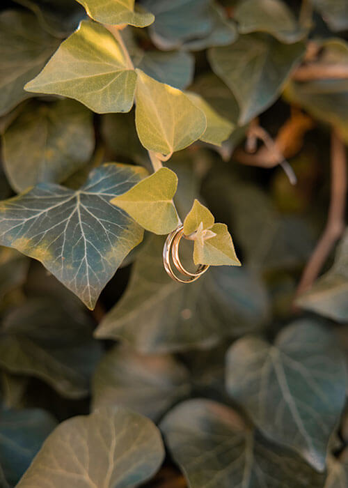 alliances-mariage-auvergne